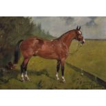 George Paice (1854-1925) British. "Barney", Study of a Horse, Oil on Board, Signed, Inscribed and