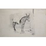 Attributed to Herbert William Weekes (act.1856-1904) British. Study of a Donkey, Pencil,