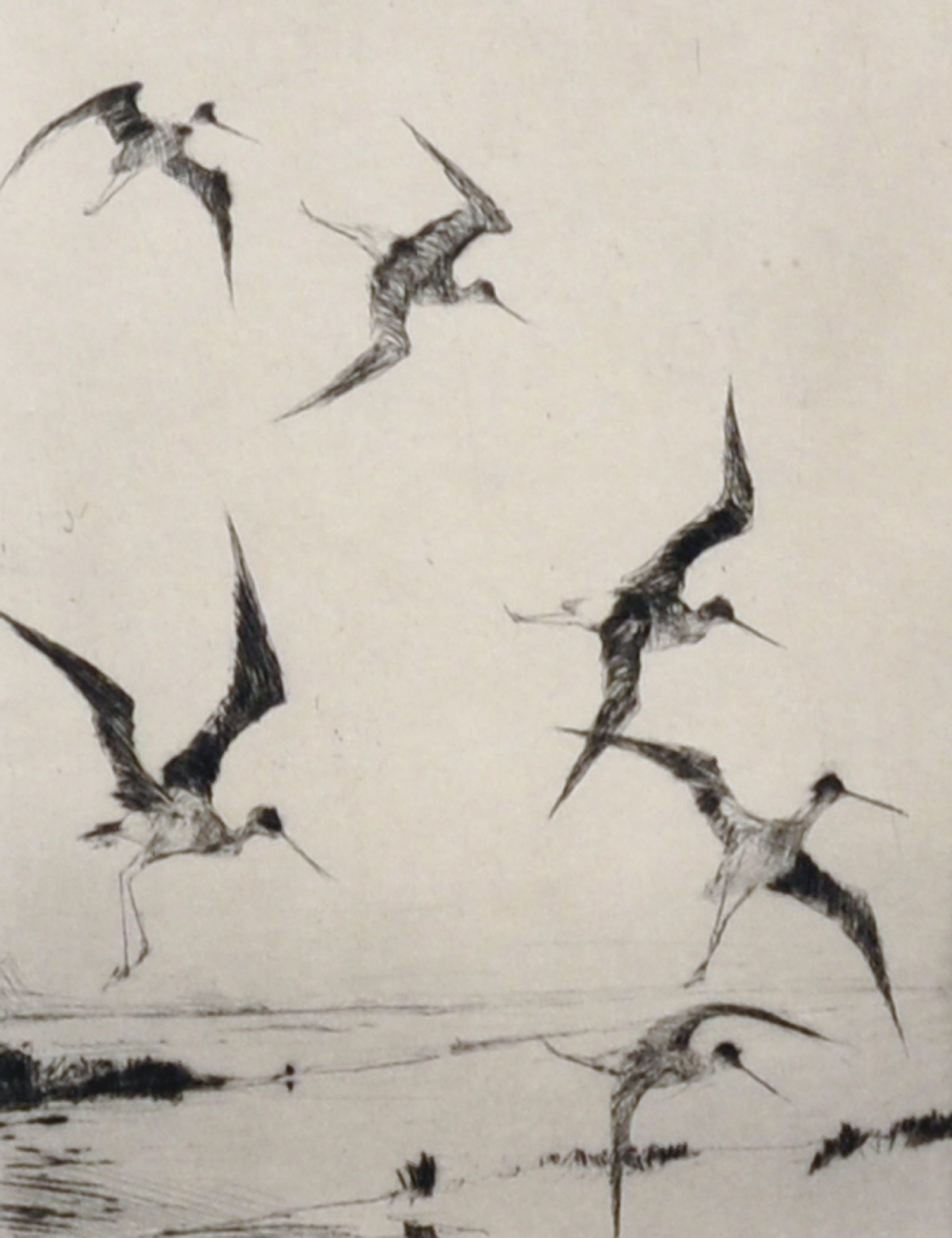 Frank Weston Benson (1862-1951) American. "Summer Yellowlegs", Etching, Signed in Pencil, and