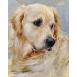 Konstantin Razumov (1974- ) Russian. "Golden Retriever", Study of a Dog's Head, Oil on Canvas,