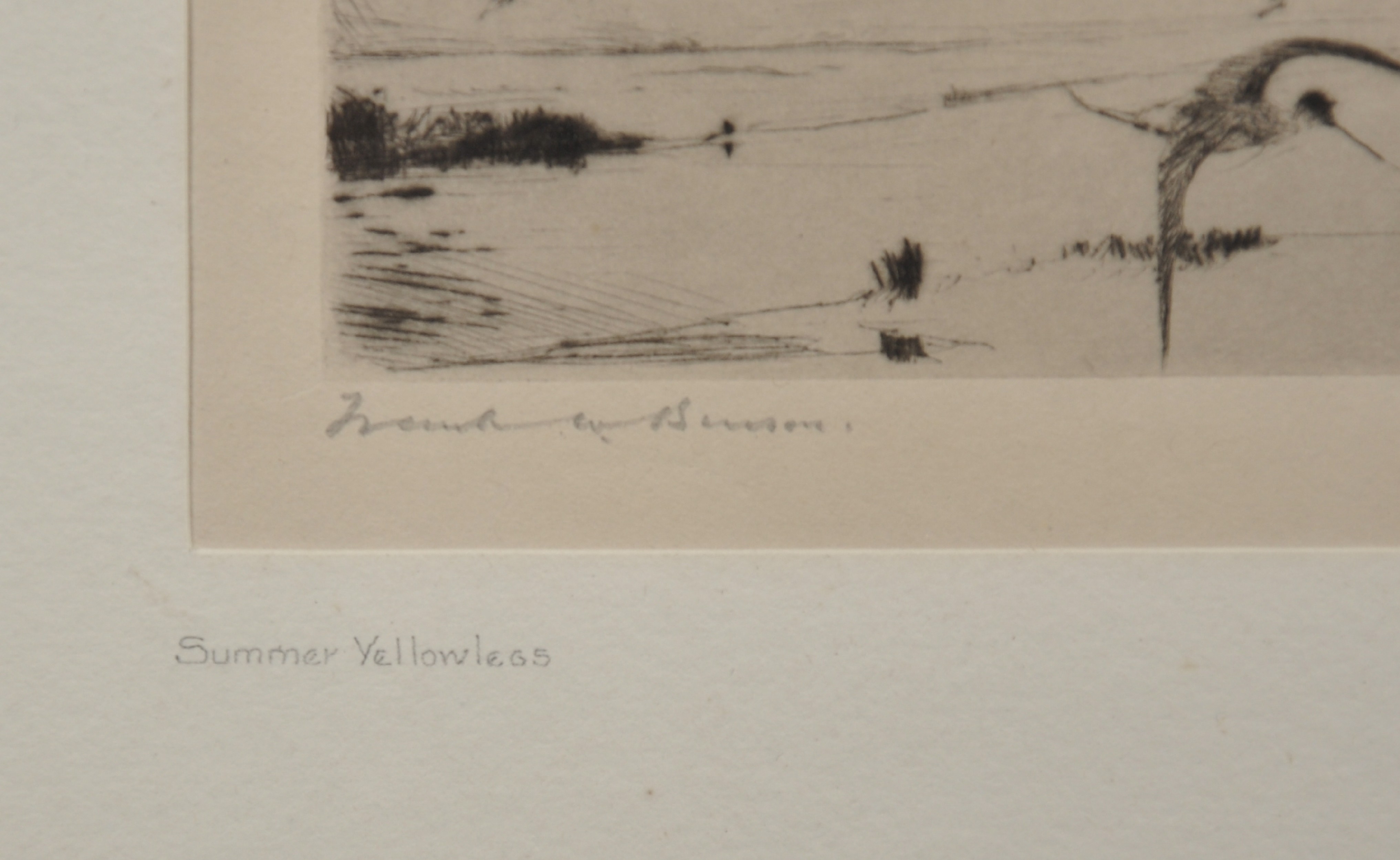 Frank Weston Benson (1862-1951) American. "Summer Yellowlegs", Etching, Signed in Pencil, and - Image 3 of 5