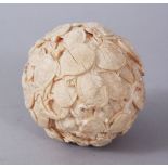 A GOOD JAPANESE MEIJI PERIOD CARVED IVORY TERRAPIN CARVED BALL / OKIMONO , the okimono carved in