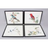 A AET OF FOUR CHINESE FRAMED PRINTS OF BIRDS, depicting the yellow wagtail, blue magpie, green