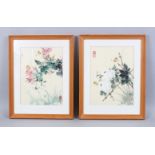 A PAIR OF 20TH CENTURY CHINESE HAND PAINTED PICTURES OF BUTTERFLIES, both framed, depicting