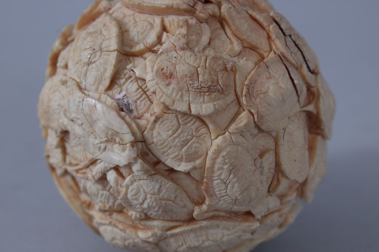 A GOOD JAPANESE MEIJI PERIOD CARVED IVORY TERRAPIN CARVED BALL / OKIMONO , the okimono carved in - Image 5 of 5