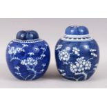 TO 19TH / 20TH CENTURY CHINESE BLUE & WHITE PORCELAIN PRUNUS GINGER JARS & COVERS, the bases with