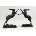 A PAIR OF SMALL BRONZE MODELS OF BOXING HARES, on marble bases. 12ins high.