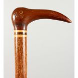 A PITCAIRN ISLAND WALKING STICK, with birds head handle. 36ins long.