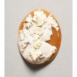 A VICTORIAN OVAL CAMEO, a head with fruiting vines.