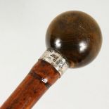 A WALKING CANE with rhino ball handle and silver band. London 1930.