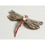 A GOOD GOLD, DIAMOND, PEARL AND SAPPHIRE DRAGONFLY BROOCH.