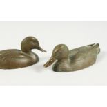 TWO SMALL BRONZE MODELS OF DUCKS, possibly Japanese. 5ins and 5.5ins long.