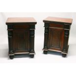 A GOOD PAIR OF 19TH CENTURY MAHOGANY PEDESTAL CUPBOARDS, with a panelled frieze, flanked by carved