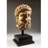 A GREEK STONE BUST OF ZEUS, on a wooden base. Bust: 11ins high.