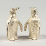 A PAIR OF NOVELTY SILVER PLATED PENGUIN SALT AND PEPPERS. 3ins high.