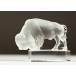 A LALIQUE FROSTED GLASS MODEL OF A BISON. Etched LALIQUE, FRANCE. 12cms long.