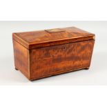 A 19TH CENTURY SARCOPHAGUS SHAPE TEA CADDY. 12ins wide.