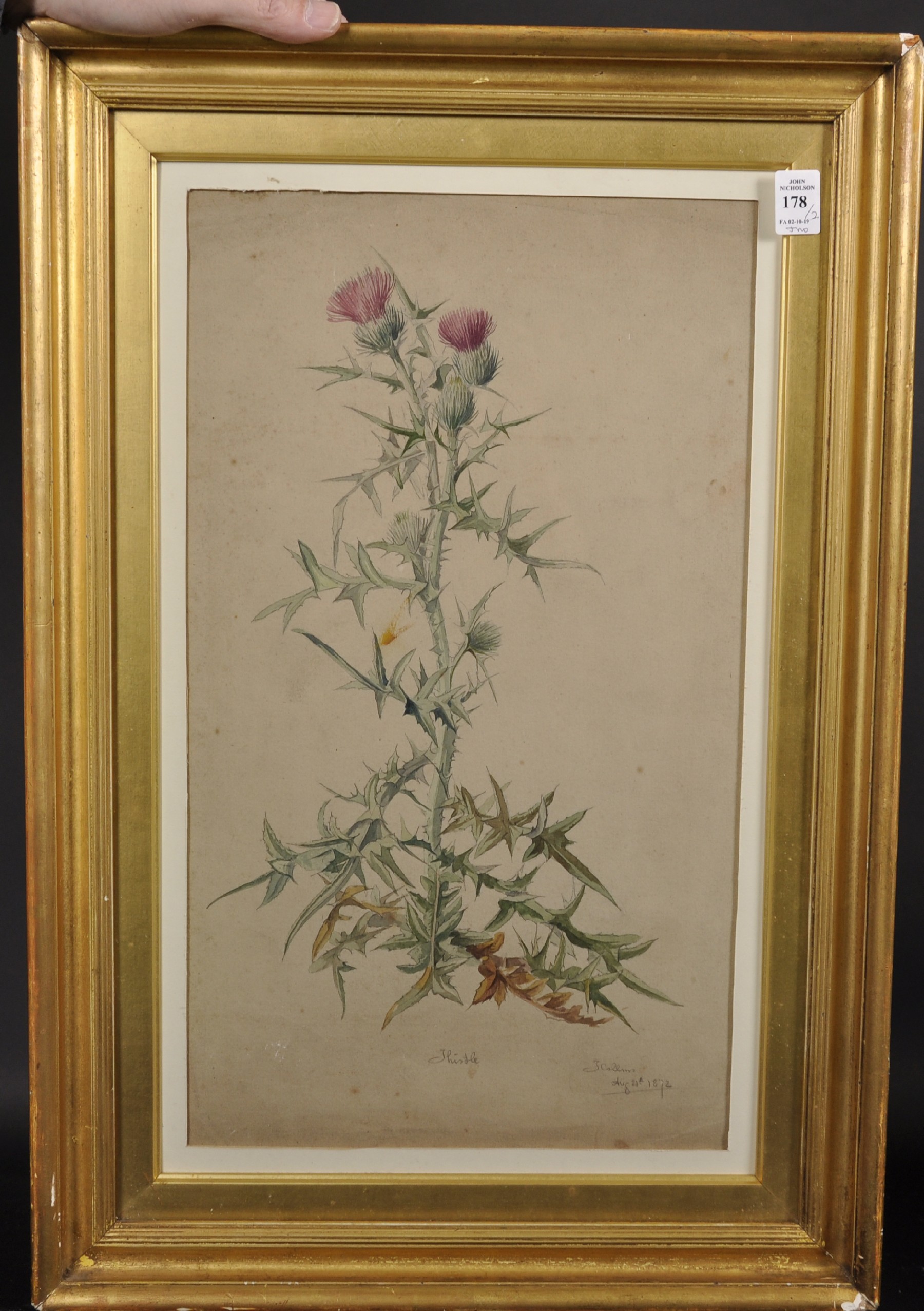 J... Collins (19th Century) British. "Thistle", a Sketch, Watercolour, Signed, Inscribed and - Image 2 of 6