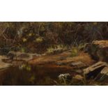 George Edward Lodge (1860-1954) British. "Kalewewa in Ceylon", Study of a River Bed, Oil on Board,