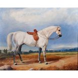 20th Century English School. Study of a Saddled Horse in a Landscape, Oil on Canvas, Indistinctly