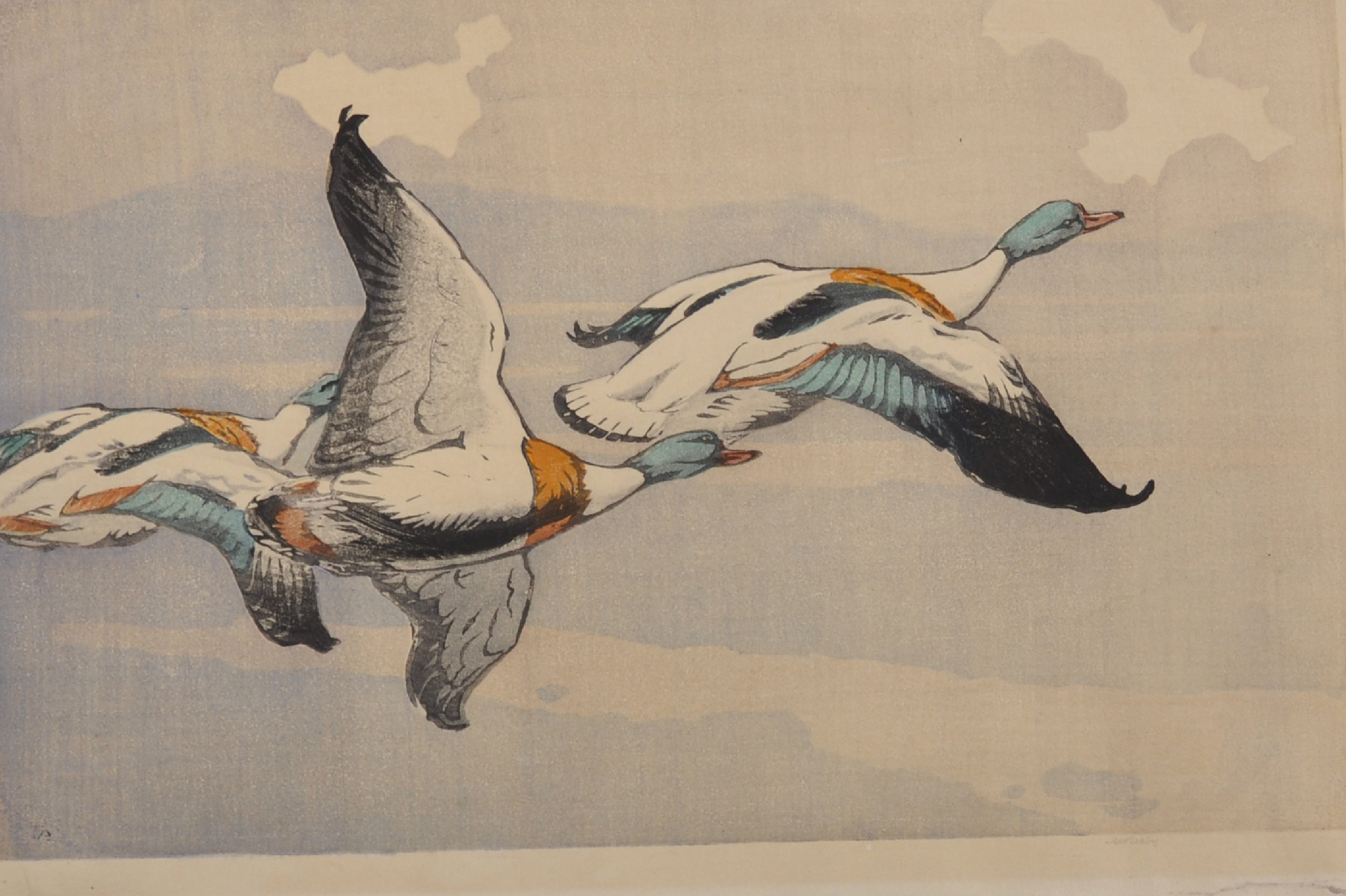 Allen William Seaby (1867-1953) British. Flying Ducks, Woodcut in Colours, Signed in Pencil,