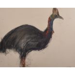 Lara Scouller (1983- ) British. 'Ocellated Turkey', Chalk, Signed in Pencil, 22" x 29".