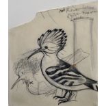 John Northcote Nash (1893-1977) British. "Hoopoe", Study of Two Hoopoes for 'The Natural History