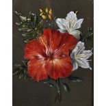 Late 19th Century English School. Hibiscus Floral Spray, Oil on Board in a Watts Frame, 8.5" x 6.