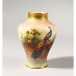 A ROYAL WORCESTER VASE, painted with a peacock, date code for 1916, puce mark.