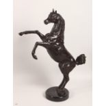 A BRONZE MODEL OF A REARING STALLION, on a circular marble base. 22ins high.