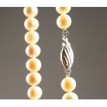 A CULTURED PEARL NECKLACE with silver clasp.