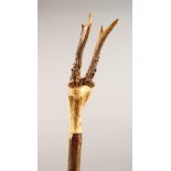 A THUMB STICK, with antler handle. 58ins long.