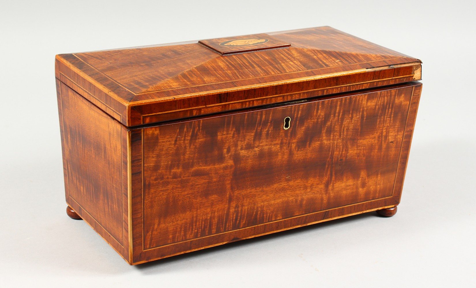 A 19TH CENTURY SARCOPHAGUS SHAPE TEA CADDY. 12ins wide.