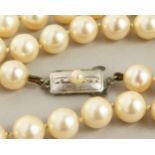 A STRING OF FORTY-NINE 18-GAUGE PEARLS, with silver clasp.