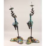 A LARGE PAIR OF CLOISONNE CANDLESTICKS, modelled as storks standing on rock work bases. 32ins high.