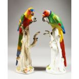 A GOOD PAIR OF COLOURFUL MEISSEN PARROTS, each perched on a tree stump holding a piece of fruit in