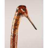 A WALKING STICK, with carved and painted pheasant head handle. 49ins long.