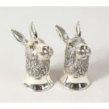 A GOOD PAIR OF HEAVY NOVELTY CAST SILVER RABBIT HEAD SALT AND PEPEPRS. 2.5ins high.