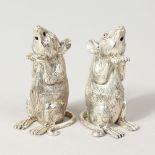 A GOOD PAIR OF HEAVY NOVELTY .800 SILVER MICE SALT AND PEPPERS. 2ins high.