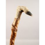 A HOOF HANDLED WALKING STICK, with twisted shaft. 48ins long.