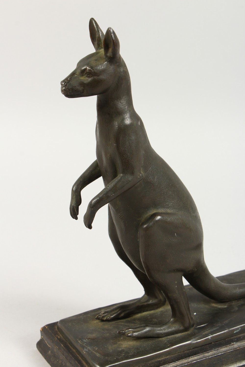 A SPELTER MODEL OF A KANGAROO, on an ebonised wood base. 10.5ins high overall. - Image 2 of 2