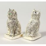 A GOOD PAIR OF HEAVY NOVELTY SILVER PLATE SEATED CAT SALT AND PEPPERS. 2ins high.
