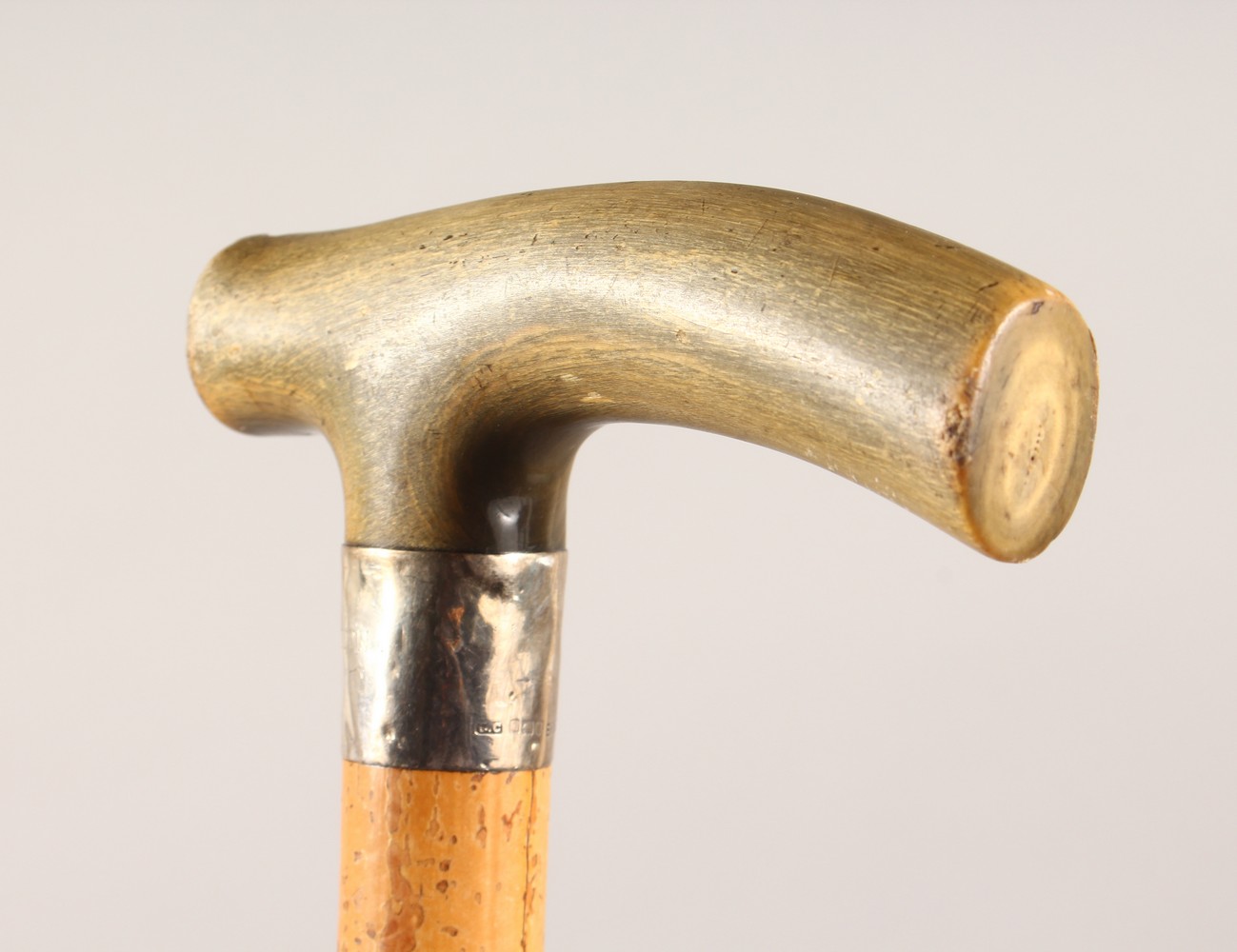 A HORN HANDLED MALACCA WALKING STICK, with a silver collar. 36.5ins long.