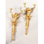 A PAIR OF ORMOLU TWIN BRANCH CHERUB WALL LIGHTS. 28ins high.