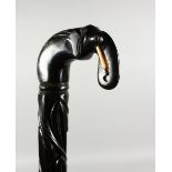 A CEYLONESE CARVED EBONY WALKING STICK, with elephant head handle. 36ins long.