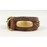 AN EARLY 20TH CENTURY LEATHER AND BRASS STUDDED DOG COLLAR: TOM CUMLEY'S "PEGGY", 75 NIGHTINGALE