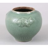 A GOOD 18TH / 19TH CENTURY CHINESE LONGQUAN CELADON PORCELAIN MOULDED FISH POT, the body with