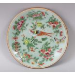 A 19TH CENTURY CHINESE CELADON FAMILLE ROSE PORCELAIN DISH, the dish decorated with flora and birds,