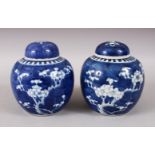 A GOOD PAIR OF 19TH / 20TH CENTURY CHINESE BLUE & WHITE PORCELAIN PRUNUS GINGER JARS & COVERS,