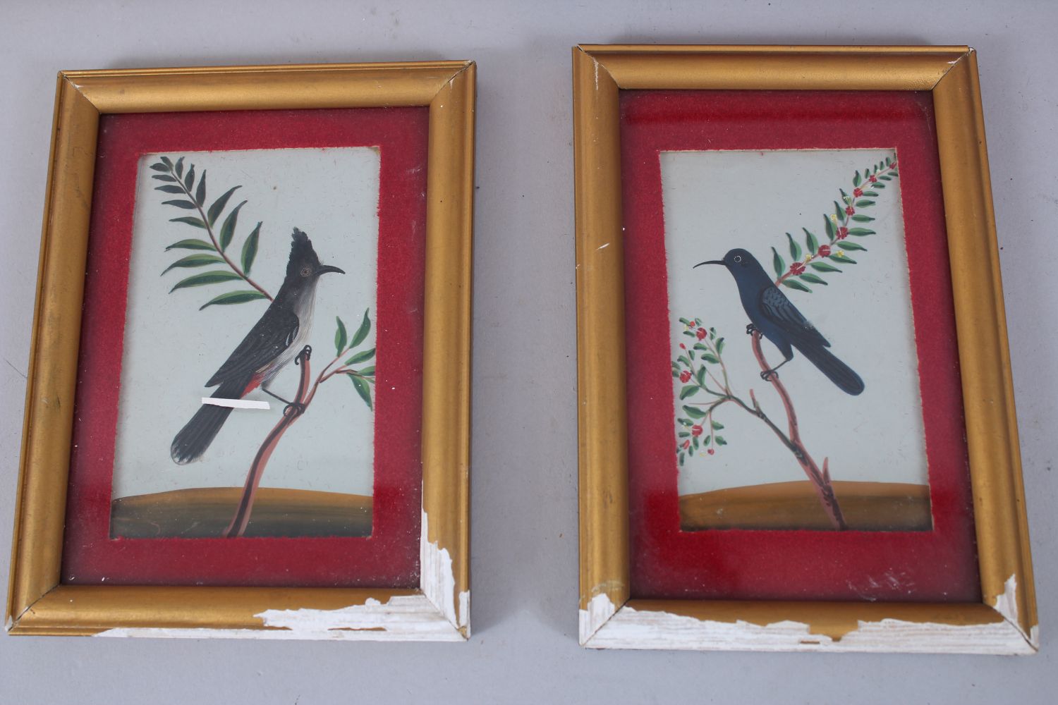 A COLLECTION OF SEVEN VARIOUS 19TH CENTURY BIRD PAINTINGS ON MICA in four frames. - Image 4 of 4